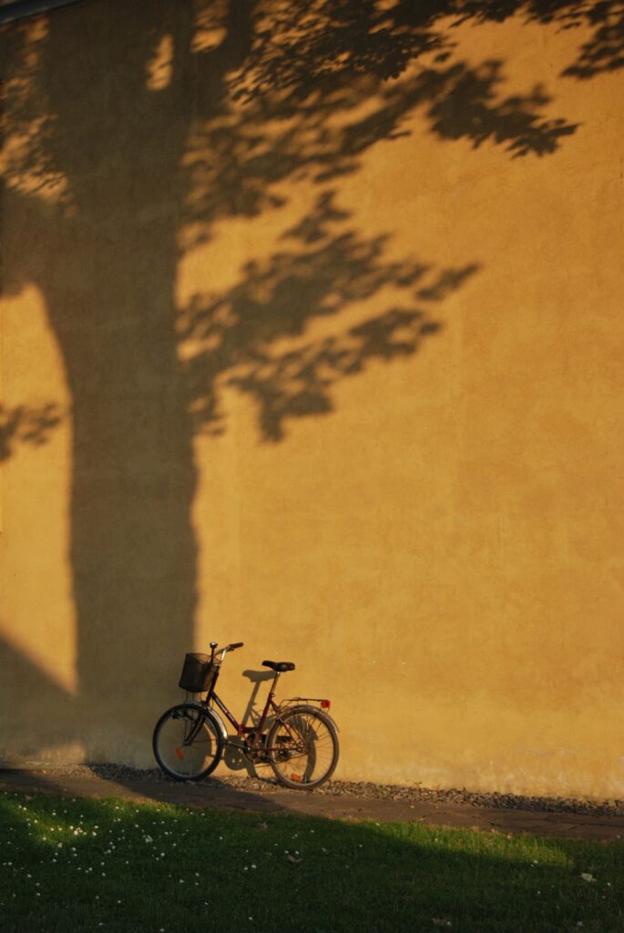 bike, grass, wall