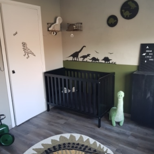 Custom Dino Wall Decal