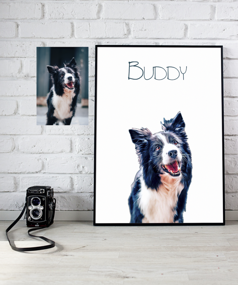 Pet portrait mock up