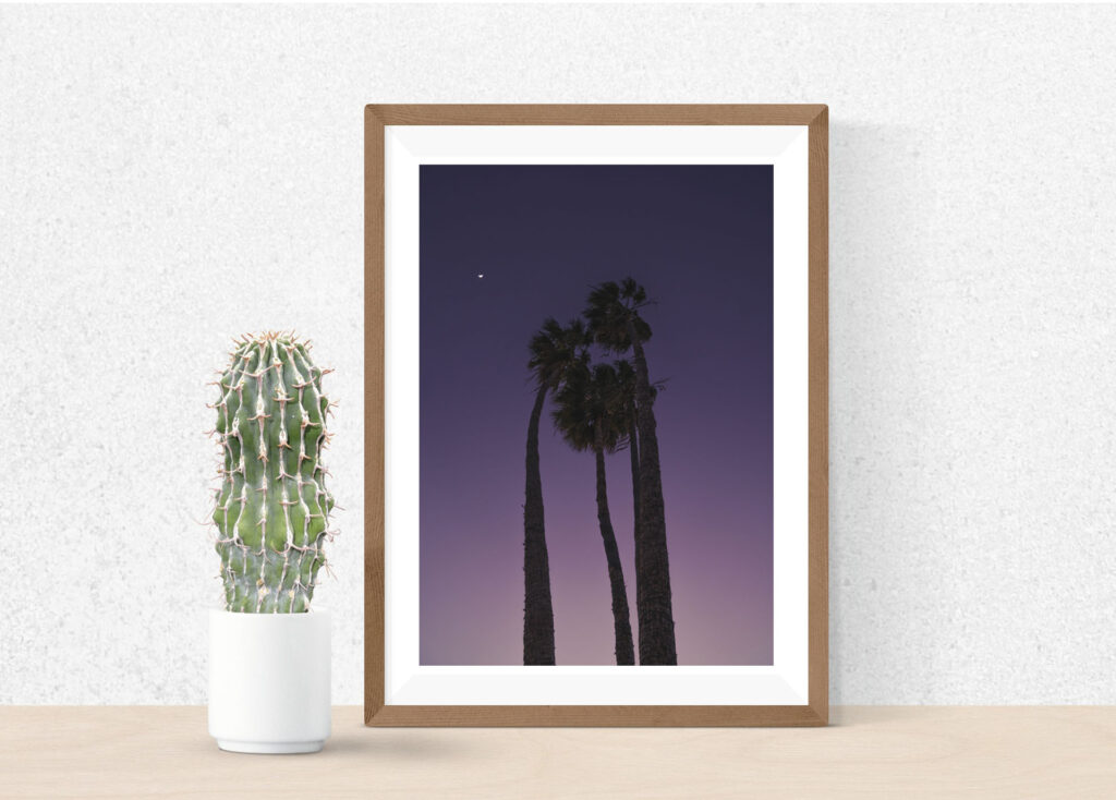 Palm trees purple sunset photography canvas
